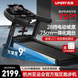 Youmei A8 Treadmill for Home Use, Gym-Specific, Foldable, Ultra-Quiet Climbing Machine for Women, Indoor Large Model for Men