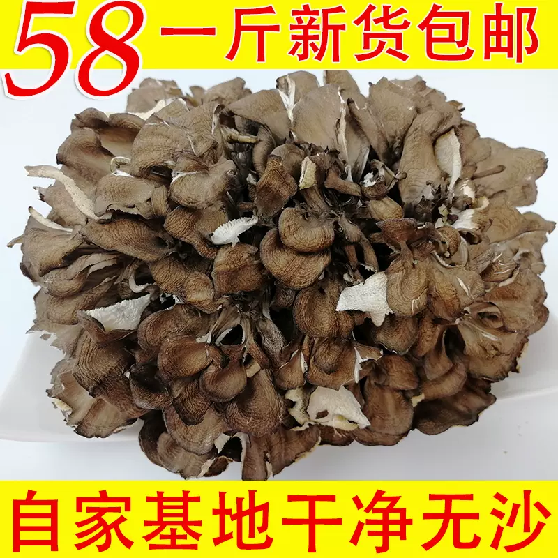 买一送一】庆元灰树花干无泥沙舞茸茶灰树菇栗蘑500g送鲜菇一斤
