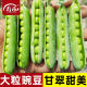 Sweet and crispy green pea seeds pea seeds sweet seeds pea seeds tips vegetables vegetables pea bowl bean seeds
