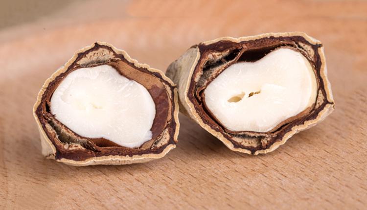 “坚果之王”鲍鱼果,松脆香酥(图12) “坚果之王”鲍鱼果,松脆香酥(图12)