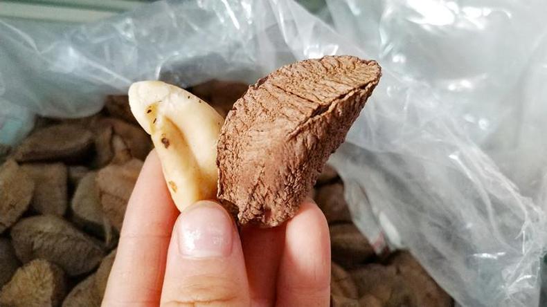 “坚果之王”鲍鱼果,松脆香酥(图11) “坚果之王”鲍鱼果,松脆香酥(图11)