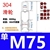M75 single wheel (1) 