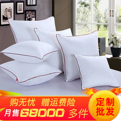 Pillow Core, Sofa Pillow Core, Home Cushion Core 45X45, Pillow Insert 50X50, Backrest Inner Core 40, Cushion Core