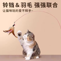 Cat Teaser Wand Toy for Self-Entertainment and Boredom Relief, Kitten Wire Long Rod with Feathers and Small Bell, Bite-Resistant Kitten Pet Toy