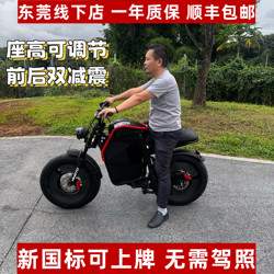 Himoto Electric Bicycle X1 Adult Men's and Women's New National Standard 48V City to Work super73