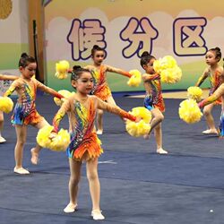 Professional Cheerleading Competition Costumes, Female Aerobics Team Artistic Gymnastics Competition Uniforms, Children's Cheerleading Performance Costumes