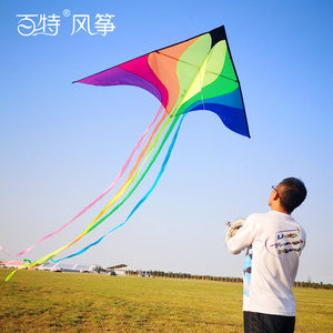 Baxter Kite Premium Colorful Phoenix Kite Internet celebrity Kite Adult Breeze Easy to Fly Large Long Tail Floating
