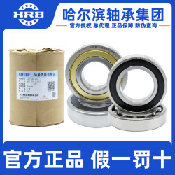 Harbin Deep Groove Ball Bearings 6200 Models 6201 6202 6204 6205 6206 6208Rzz