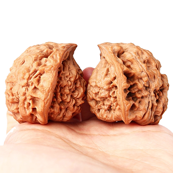 Fulitang special-shaped snake head inscriptions and walnut handle pieces