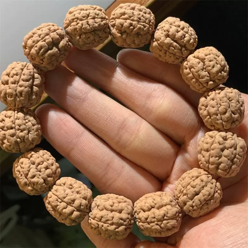 碧根果大魔王爆肉金刚菩提子五瓣六瓣天然原