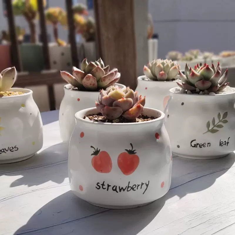 周大器厂家新款日式手绘多肉植物花盆陶瓷简约花盆植物容器