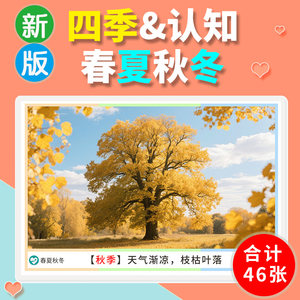 
Spring, summer, autumn and winter weather cognitive card for children's language development delay autism training teaching tools