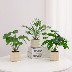 Artificial Green Plants and Flowers, Turtle Leaf Small Potted Plants, Office Desk, Living Room, Coffee Table Plant Decorations