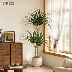 High-End Light Luxury Artificial Green Plant Agave, Next to the Sofa in the Living Room, Dragon's Blood Tree, Artificial Plant Decoration, Floor-Standing Ornament