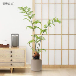 Roman's Mom's Nordic-Style Artificial Plant Golden Monkey Fern Internet-Famous Green Plant Monkey Head Fern Potted Fake Tree Indoor Decoration