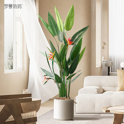 Roman's Mother Nordic Style Artificial Large Plant Floor-Standing Bonsai Lucky Bird Bird of Paradise Indoor Home Decoration