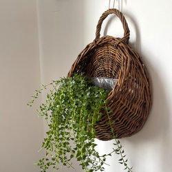 Willow rattan wall-mounted flower pots and hanging baskets hand-woven hydroponics soil cultivation balcony wall hanging baskets