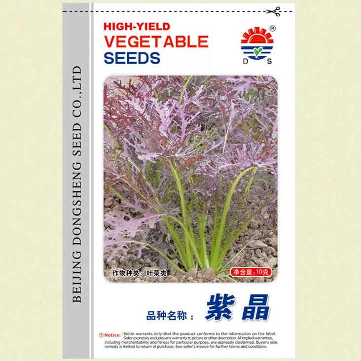 紫衣芥菜种子水菜种子紫色芥菜紫晶芥菜种子养生保健蔬菜种子 紫衣芥菜种子水菜种子紫色芥菜紫晶芥菜种子养生保健蔬菜种子