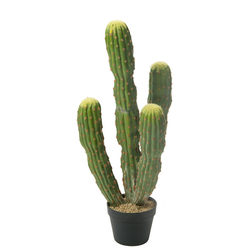 Nordic simulated cactus, fake cactus, measuring ball, ruler, tropical green plants, indoor window display, Moroccan landscaping