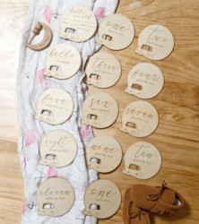 Car-Shaped Wooden Cartoon Baby Growth Commemorative Card for Months, Full Months, Newborn Days, and Photo Props