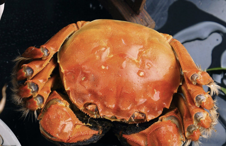 肉鲜饱满大闸蟹，有助提高人体提高免疫力(图3)