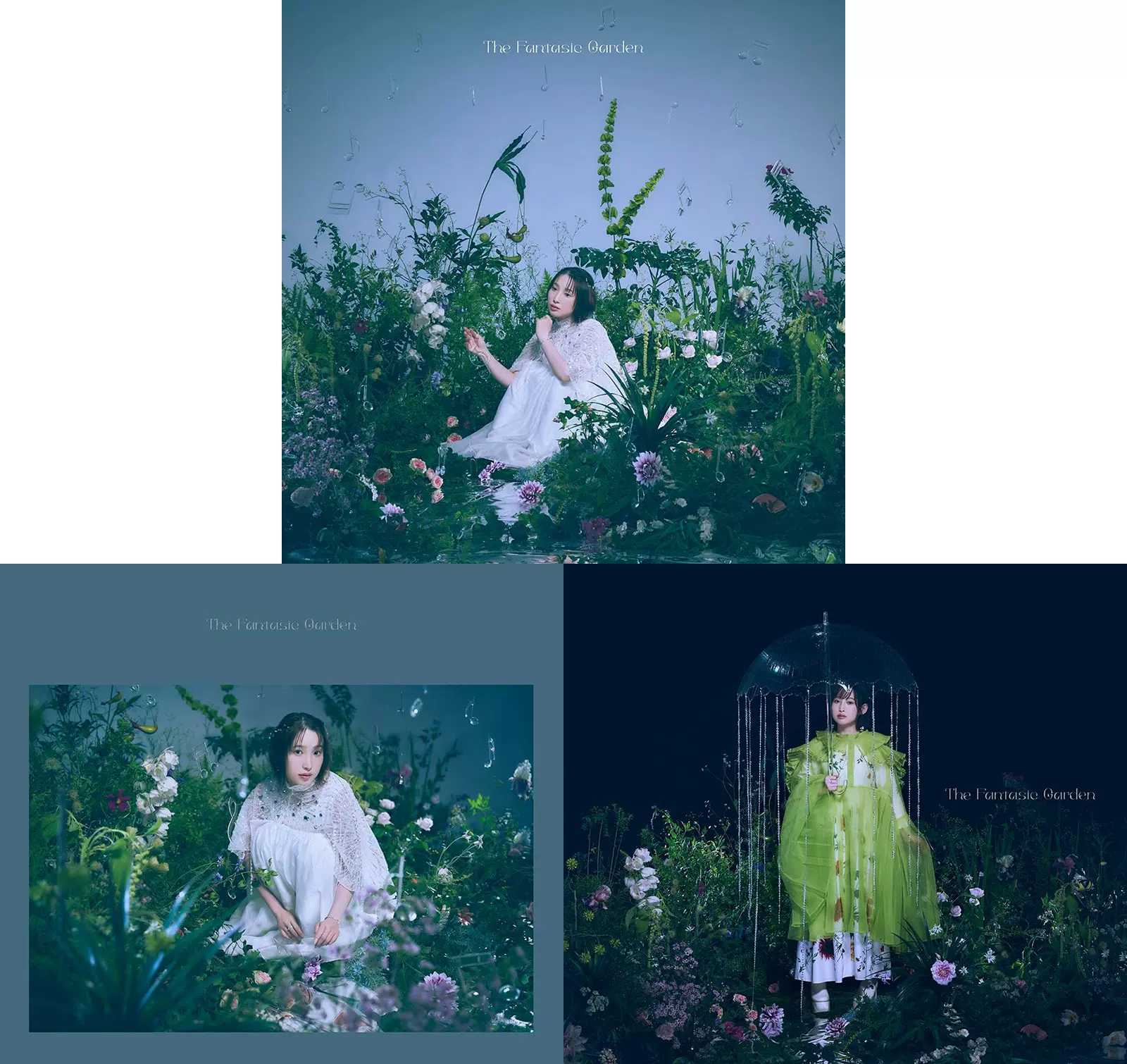 南条爱乃南條愛乃The Fantasic Garden 初回盘通常盘CD BD-Taobao