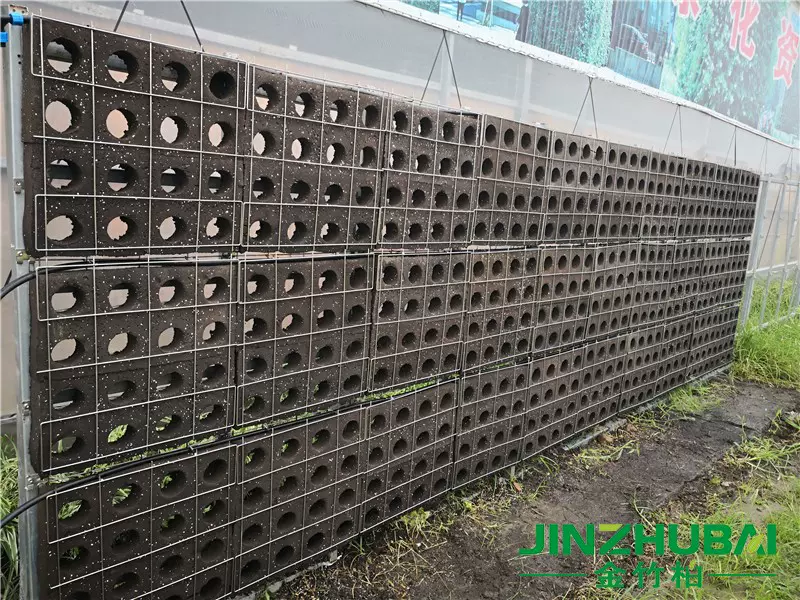金椤树生物炭绵植物仿土海绵垒土垂直立体绿化黑