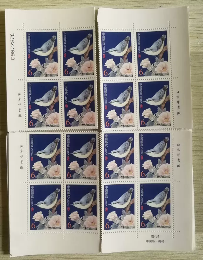 普31《中国鸟-滇鳾》6元普通邮票角边四方连(
