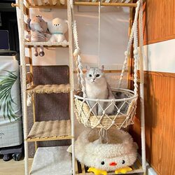DIY Cat Climbing Frame Similar to Those Used by Internet Celebrities, Cat Swing Frame, Floor-Standing Cat Frame, Easy to Install Bamboo Frame