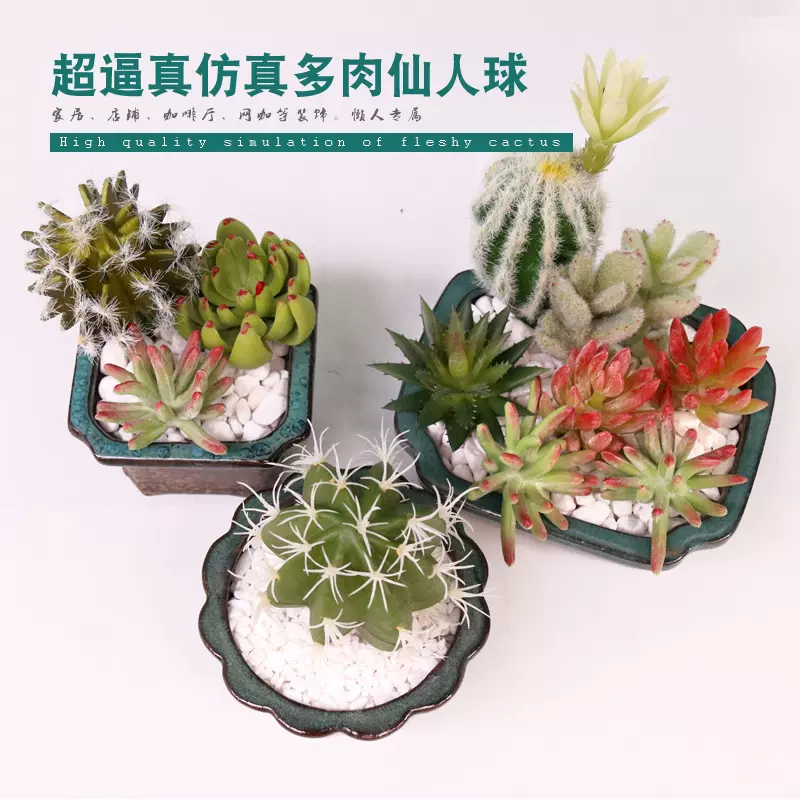 仿真多肉植物仙人掌假肉肉仿真仙人球熊童子仿真花桌面花盆 仿真多肉植物仙人掌假肉肉仿真仙人球熊童子仿真花桌面花盆