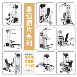 Thigh Adduction and Abduction Commercial Fitness Equipment, Gym-Specific Equipment, Full Set of Butterfly Machine, High Pull Back Machine