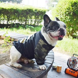 Pet camouflage cartoon bear dog sweatshirt bullfighting bully Jingbasha Pipago pet clothes dog clothes