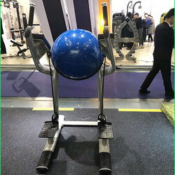 Parallel Bar Knee Lift Trainer, Abdominal Curl Knee Lift Trainer, Knee Lift Stand, Hemispherical Backrest Training Stand, Commercial Knee Lift Stand