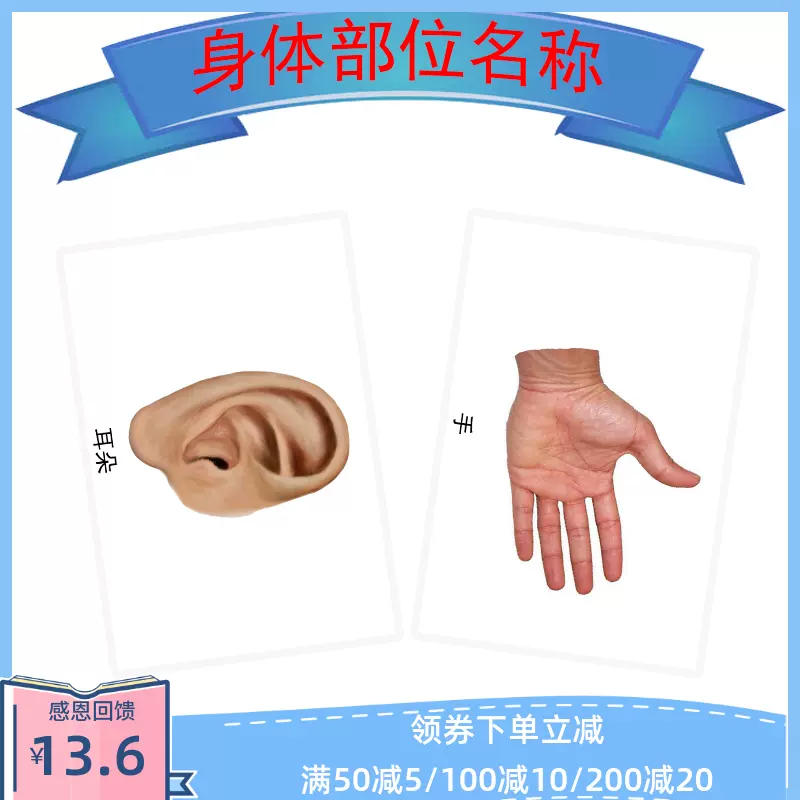 身体部位名称语言迟缓孤独症自闭症训练早教认知康复训练