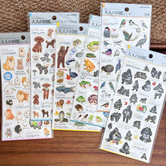
Japanese-made illustrations for adults, animals, ocean sharks, orangutans, mushrooms, birds, handbags, stickers, creative elements