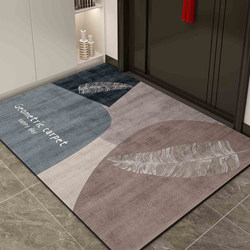Special Door Mat for Entrance, Front Door Mat, 2025 New Model, Anti-Slip Foot Mat, Carpet Mat