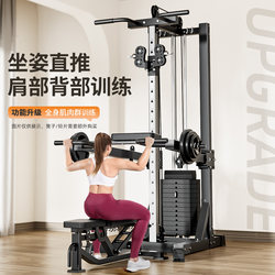 Little Flying Bird Gantry Fitness Home Equipment Multi-Functional All-In-One High Pull-Down Pull-Up Comprehensive Training Device