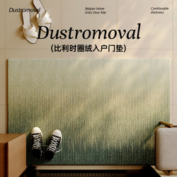 Loop Pile Gradient Entrance Mat Doormat 2026 New Model Light Luxury High-End Feel Non-Slip Stain-Resistant Customizable Foyer Carpet