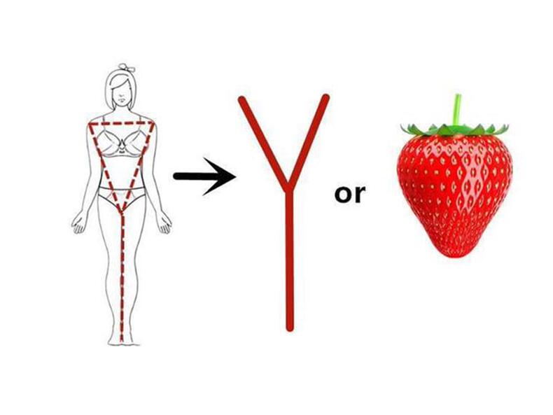Y型身