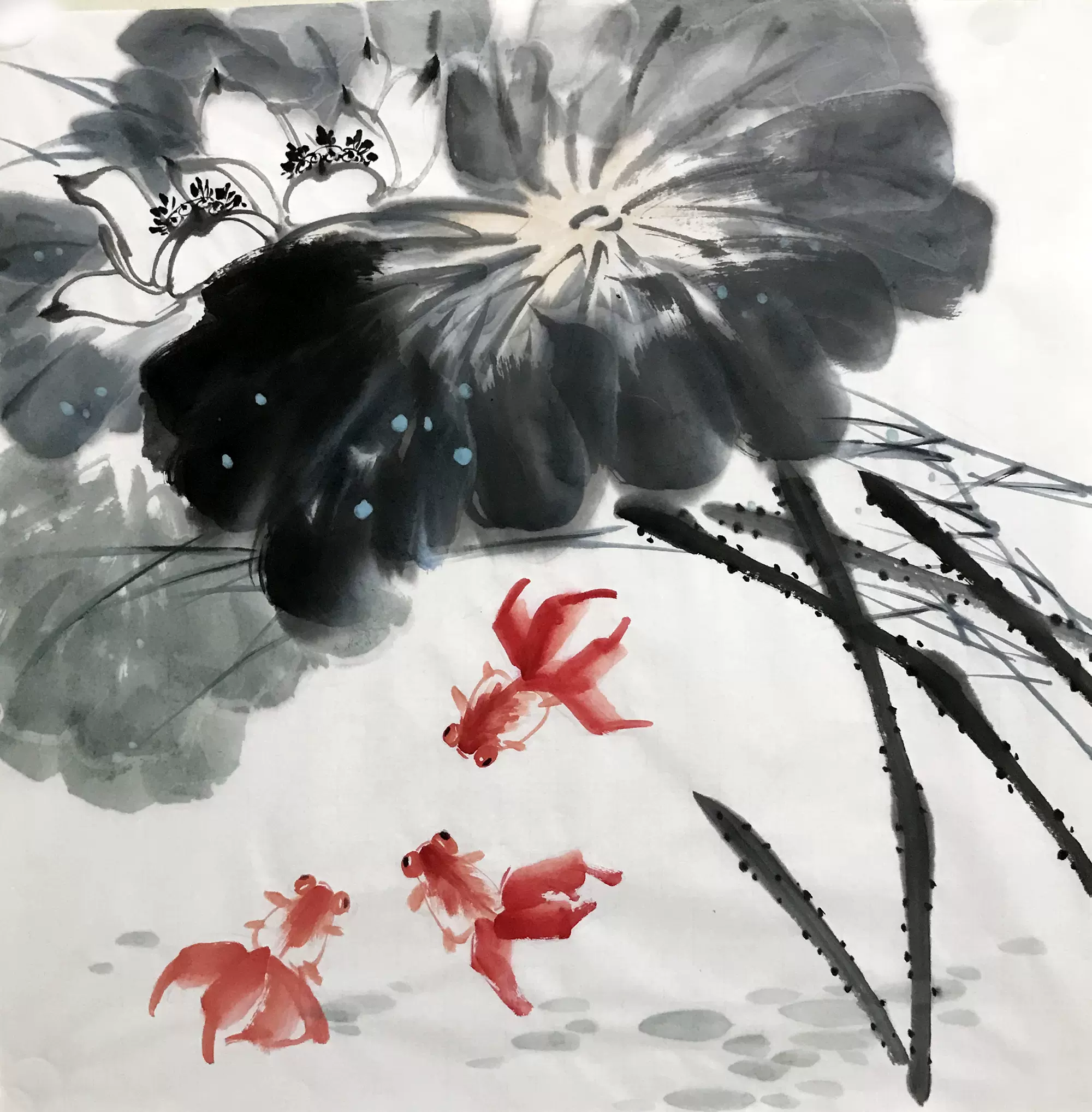 无款手绘国画四尺斗方3369写意花鸟中式装饰定制水墨画荷花金鱼