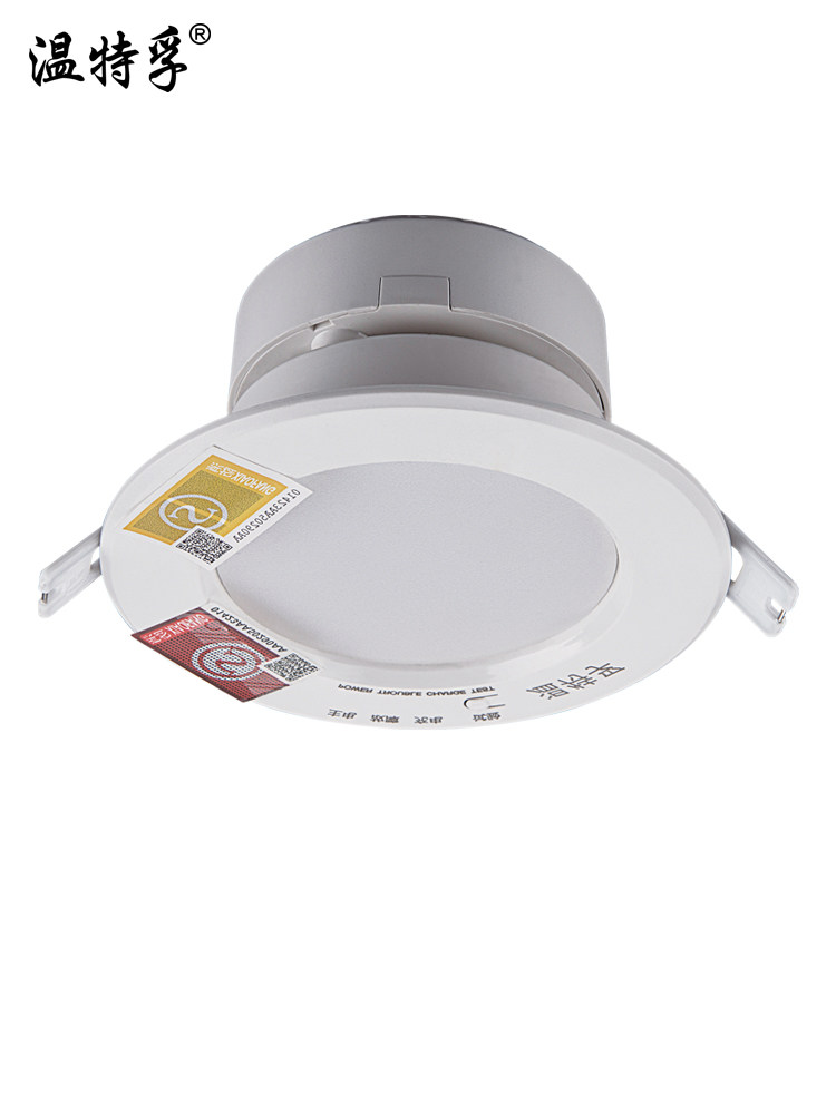 Lightstand Emergency Downlight - 3/4 Inch Recessed LED Fire Lighting