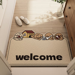 Entrance Door Mat, Door Step Mat, Household Wire Loop Entrance Door Mat, Special Indoor and Outdoor Non-Slip Carpet