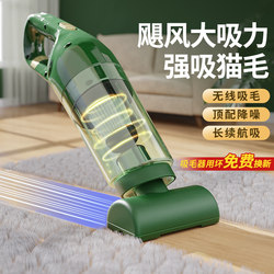Pet Electric Hair Remover for Removing Floating Hair, Cat Hair Remover for Bed and Carpet, Hair Suction Device, Vacuum Cleaner, Hair Cleaning Tool