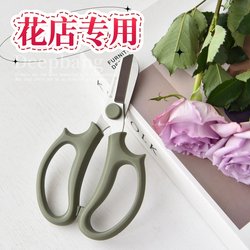 Flower Pruning Scissors, Gardening and Floral Scissors, Fresh Flower Arranging, Home Use Scissors for Cutting Flowers and Branches, Special Tools for Flower Shops, Flower Arranging Scissors