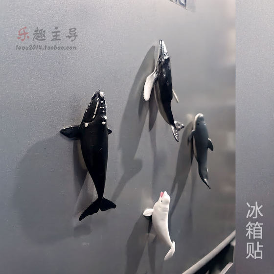
Creative refrigerator magnet three-dimensional marine animal small model right whale pilot whale humpback whale beluga decoration