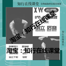 8 Sections on Specialized Principles: Backbends, Handstands, Front Handstands, Wild Wheel Stands, Lower Wheel Stands, Cobra Wheel Stands