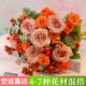 Flowers mixed and match bouquets of flowers Yunnan base straight roses water-grown fresh cut flowers arrangement lily home roses
