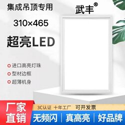 Integrated Ceiling Lighting Suitable for Chuchu 310*465 Embedded Led Panel Lights for Kitchen and Bathroom Flat Panel Lighting Fixtures