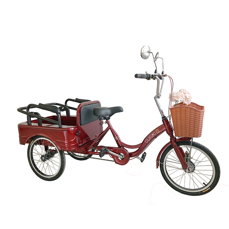 两用老年人人力三轮车脚踏助力三轮车代步车成人自行车-Taobao