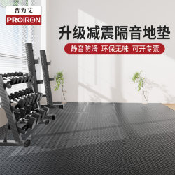 Proiron/Puli Ai Gym Floor Mat Shock-Absorbing Soundproof Floor Indoor Dumbbell Barbell Mat Indoor Fitness Mat